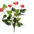 Антуриум куст де люкс красный от TREEZ, TZ.PL.TR.499, 1-я фотография мини